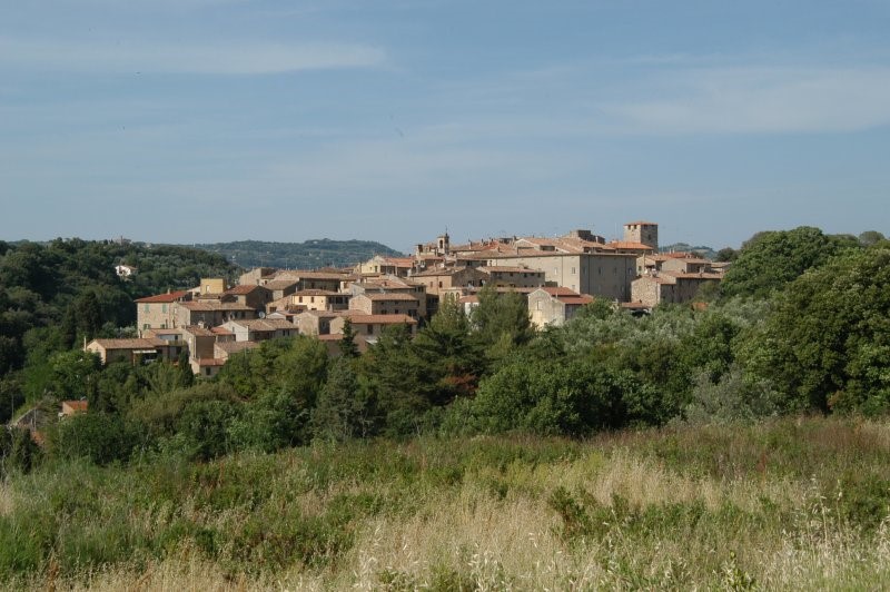 BIBBONA CAMPAGNA